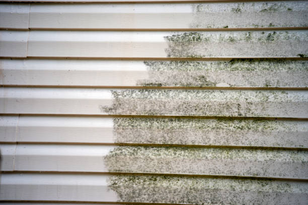 Affordable siding repair and maintenance services in New Carrollton, MD